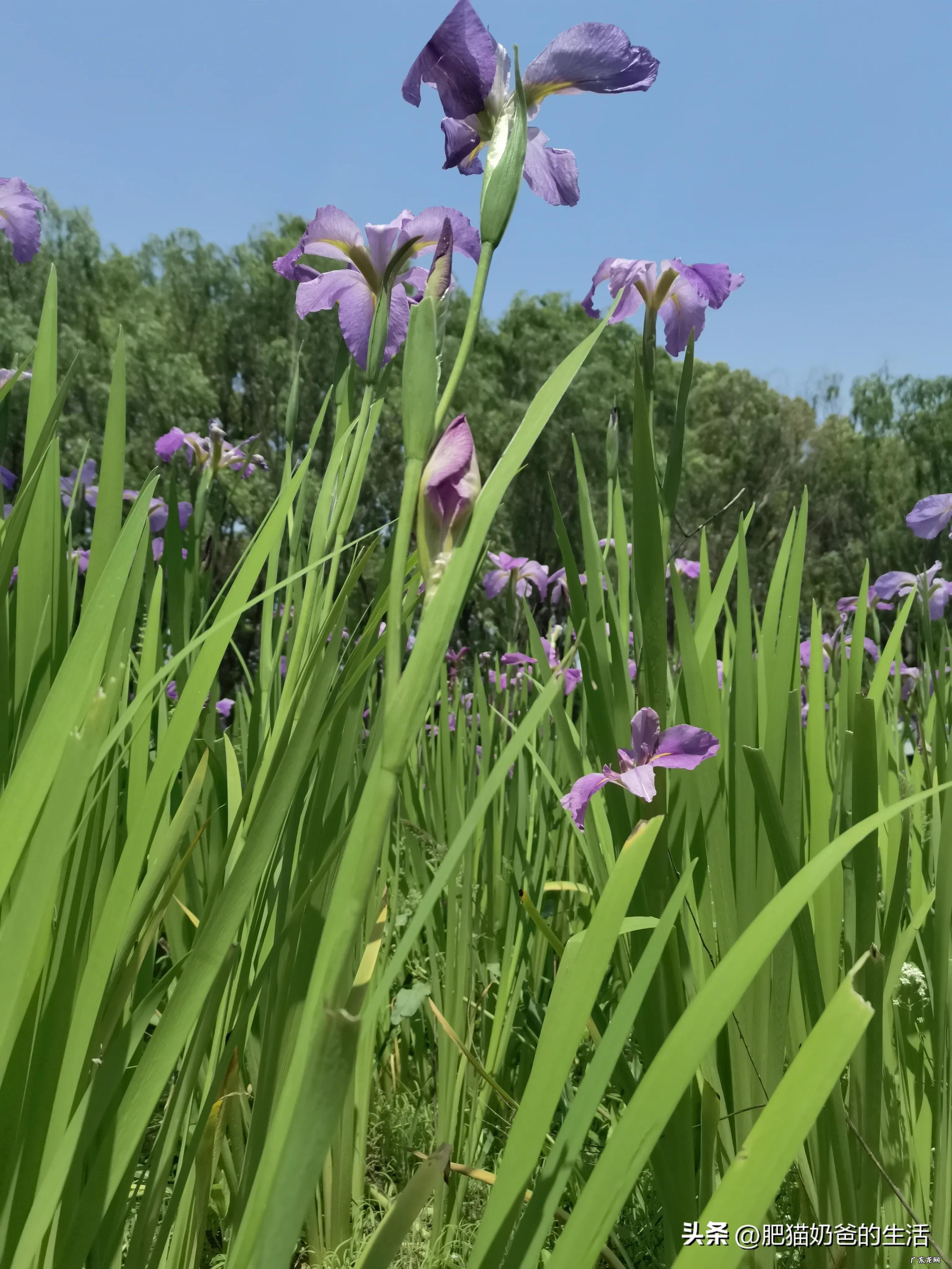 35岁以后除了跑外卖、开滴滴,还能做什么?