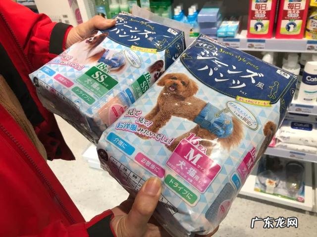 北京最大的宠物用品批发市场什么时候营业 北京宠物用品批发市场有哪些