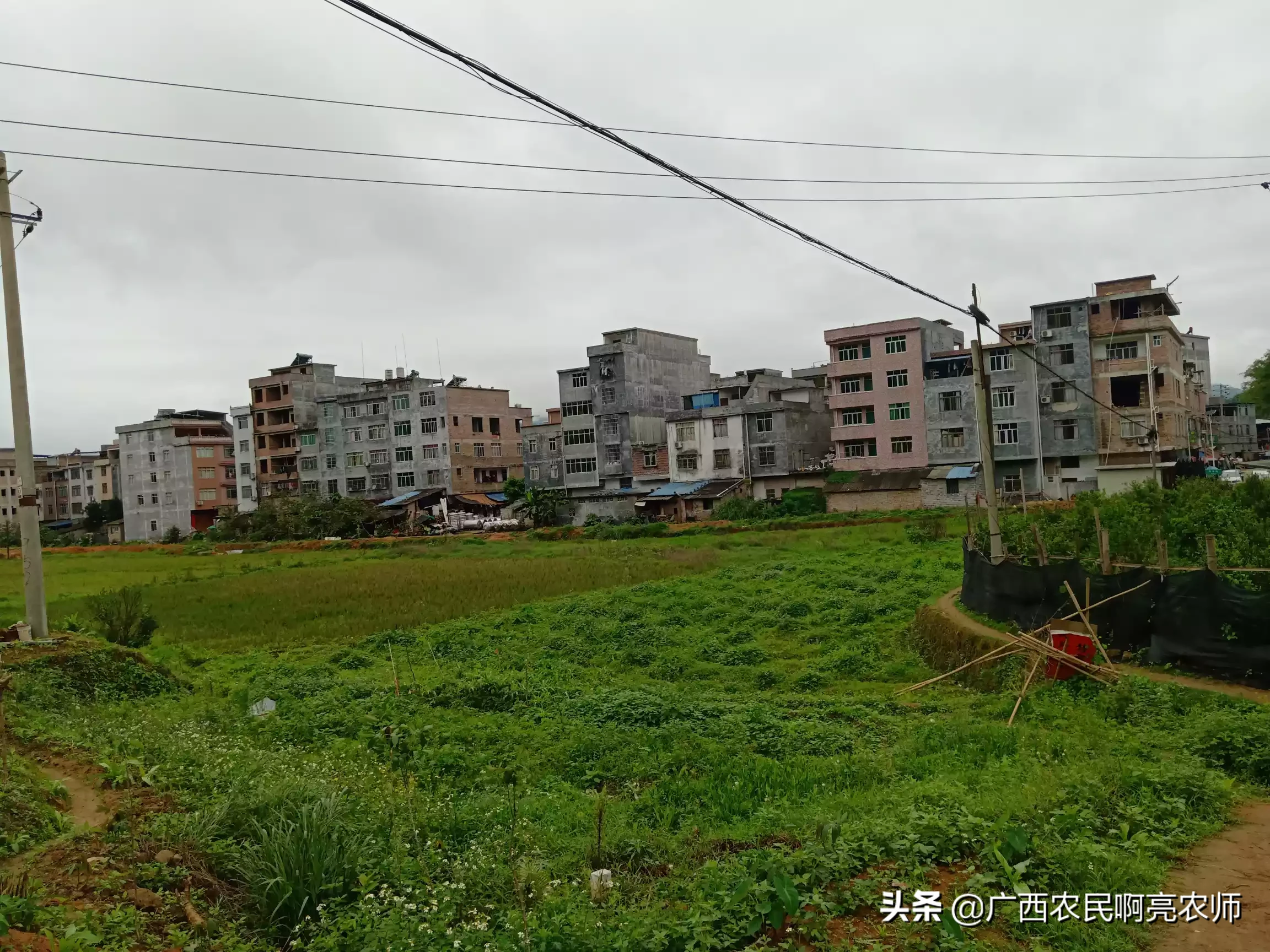 你们家乡的农村过去和现在有什么变化?