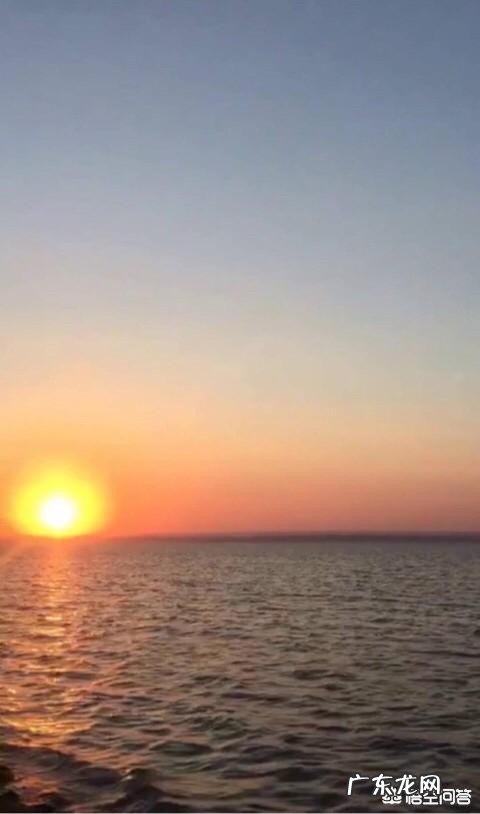 你喜欢银杏吗?原因是什么?