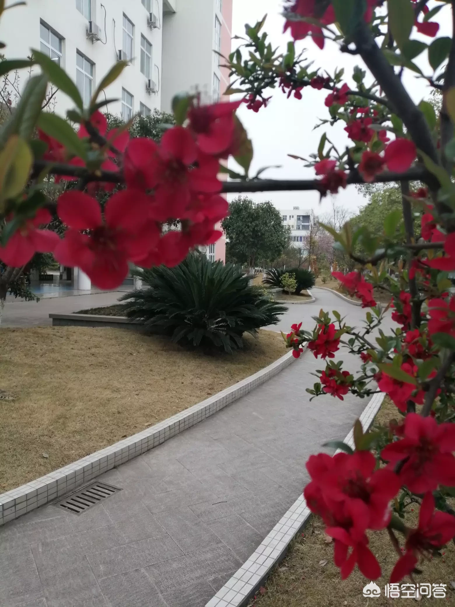 关于教师的师德,你怎么看?