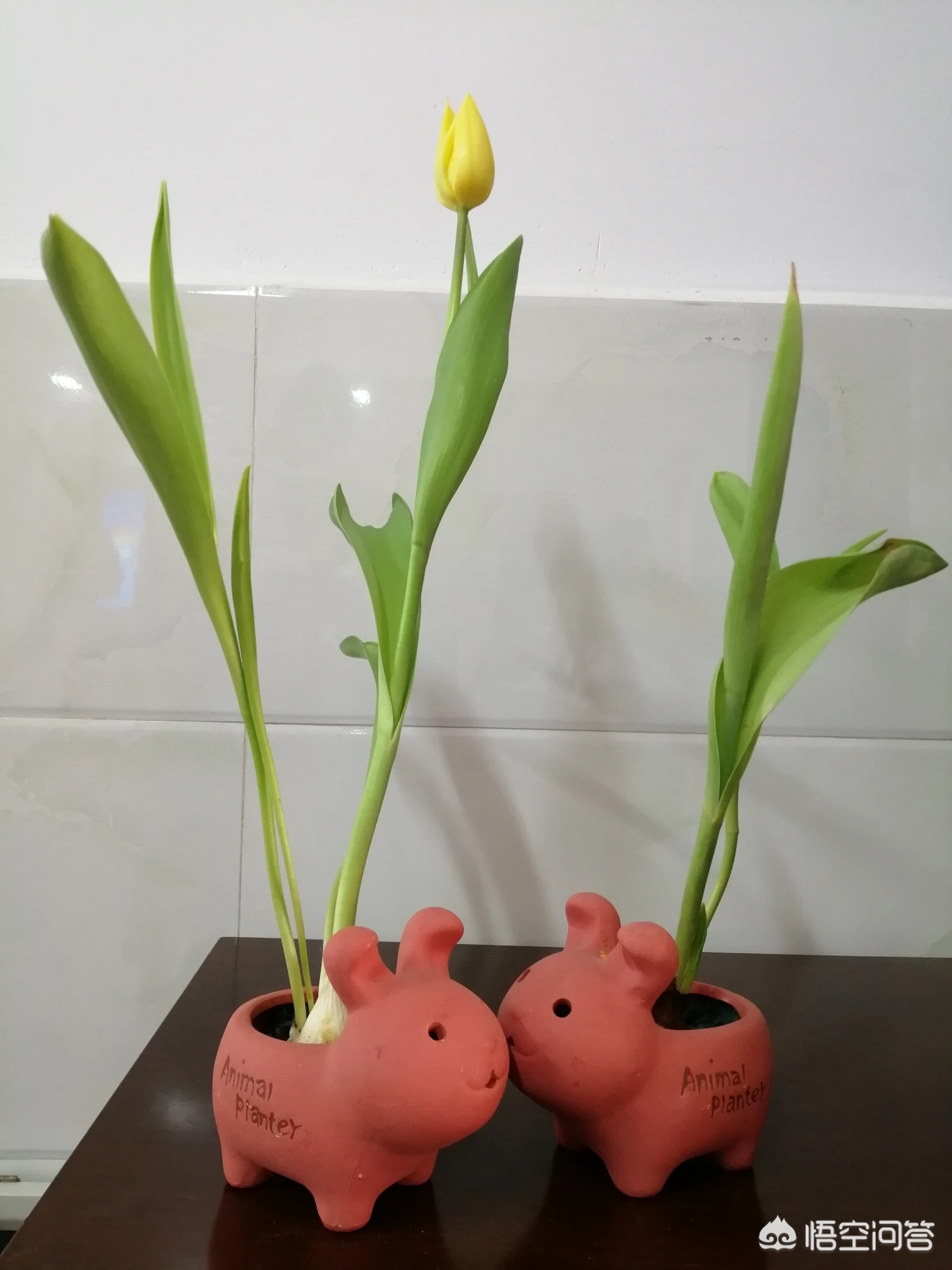 关于教师的师德,你怎么看?