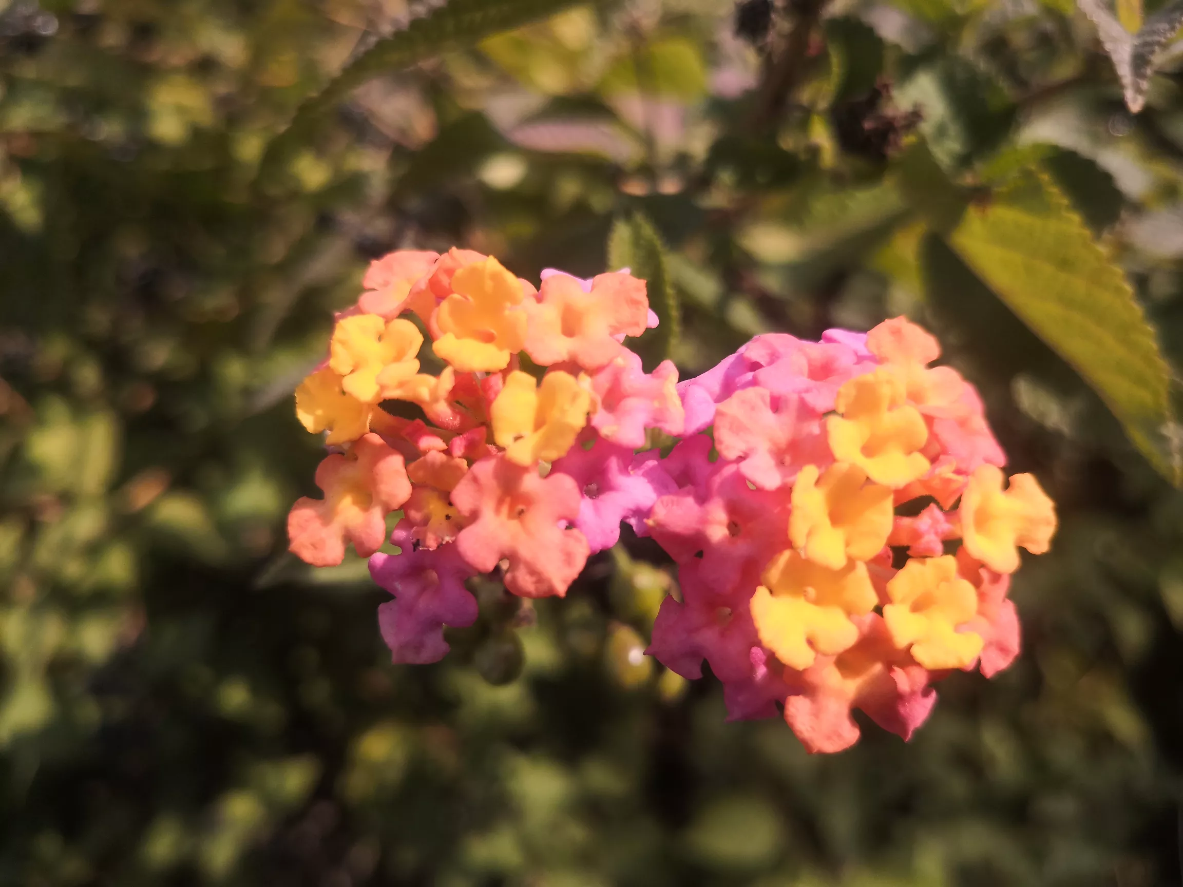 为什么有些人年轻时花钱都很大气,到五六十岁了都变得很节俭?