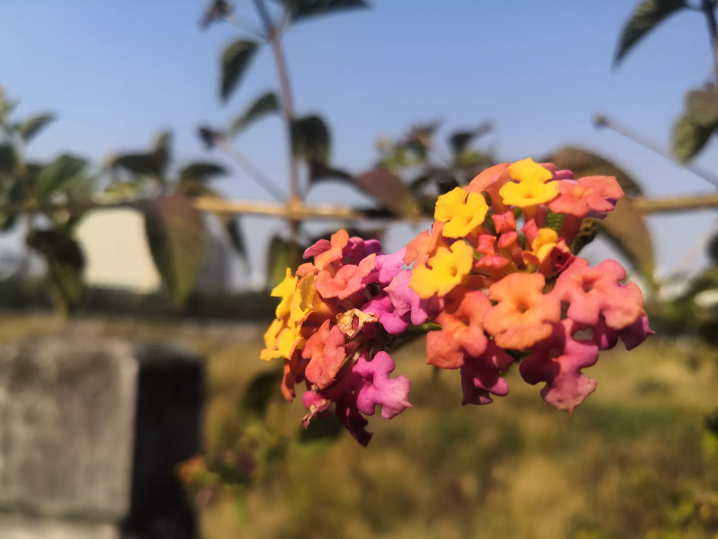 为什么有些人年轻时花钱都很大气,到五六十岁了都变得很节俭?