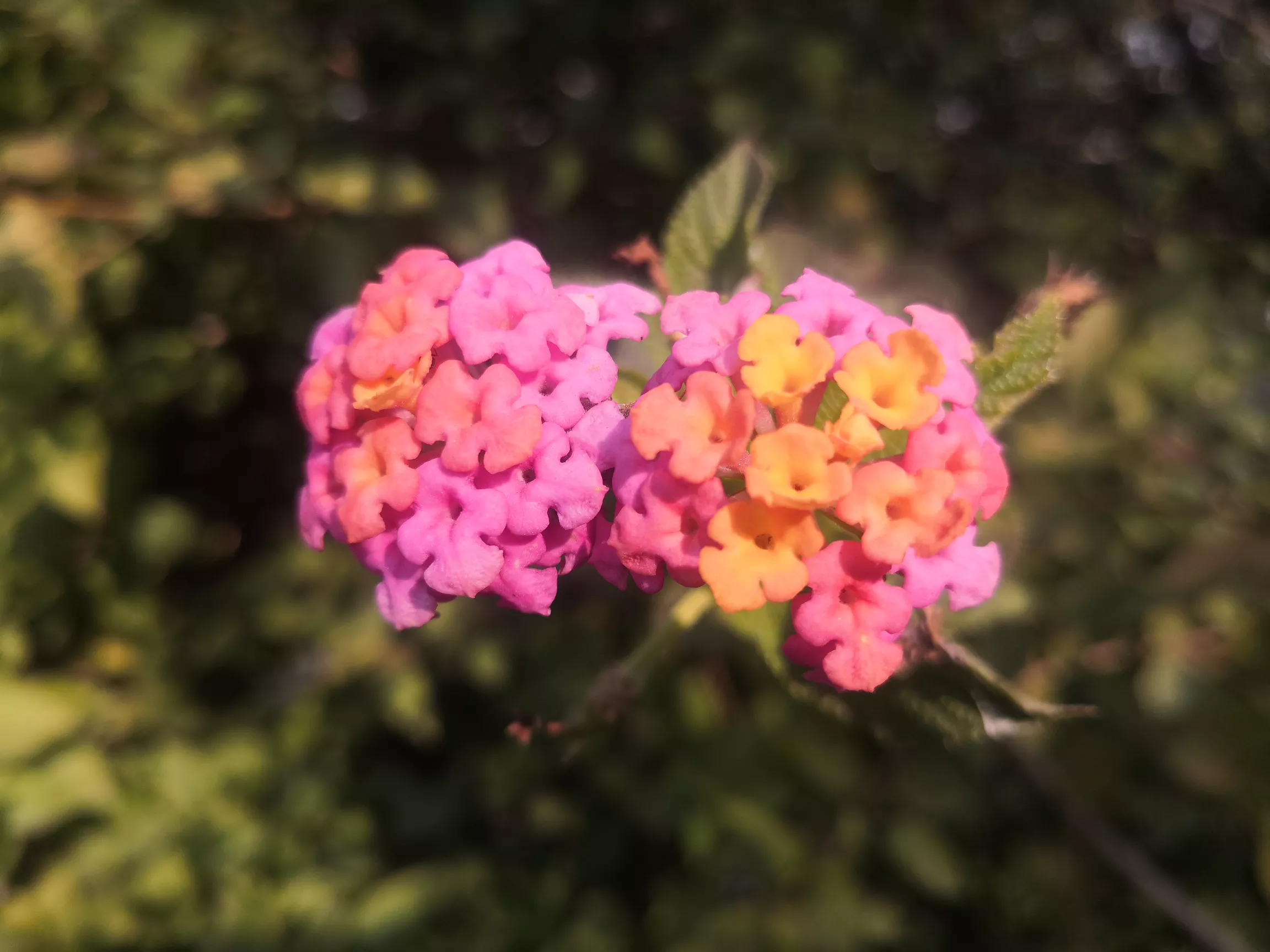 为什么有些人年轻时花钱都很大气,到五六十岁了都变得很节俭?