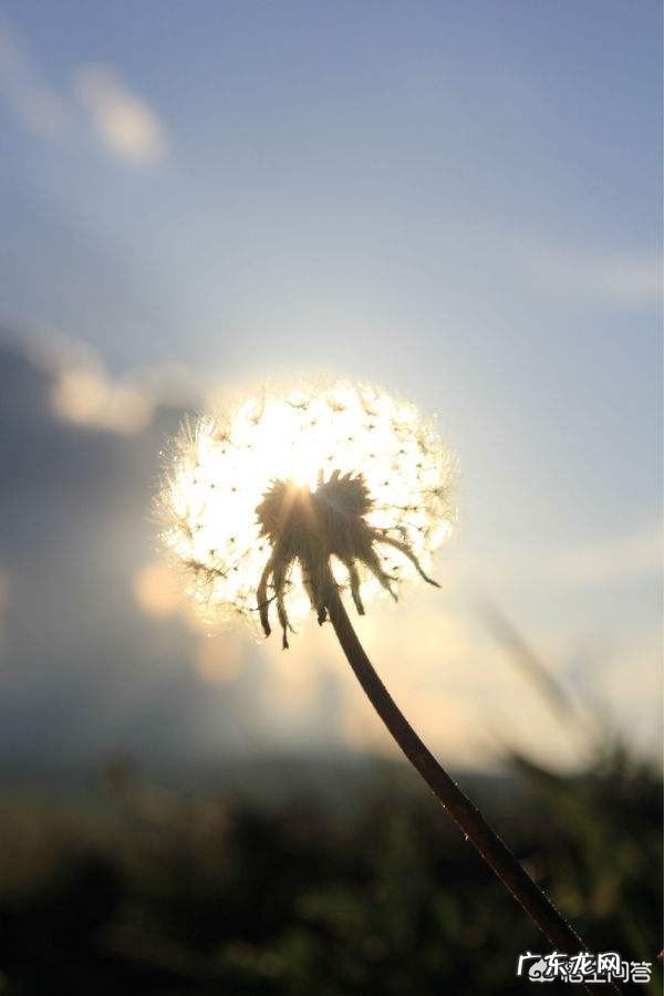 不想做恋人,又不单单想和他做朋友,怎么办?