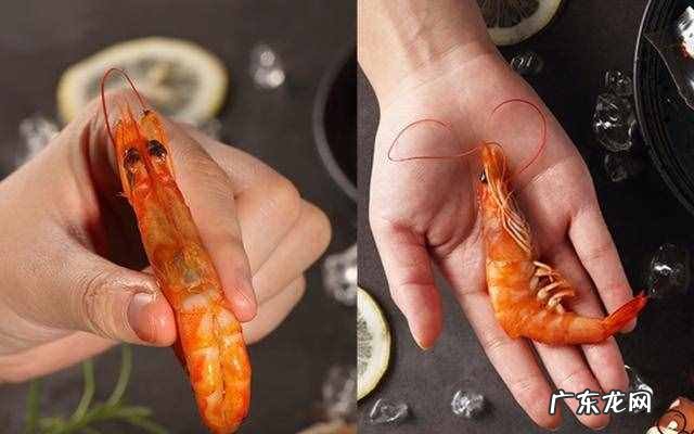 海味零食市场 海味零食品牌有哪些