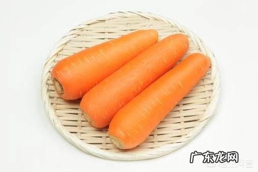 五个月宝宝能吃哪些蔬菜?有哪些宝宝食谱分享?