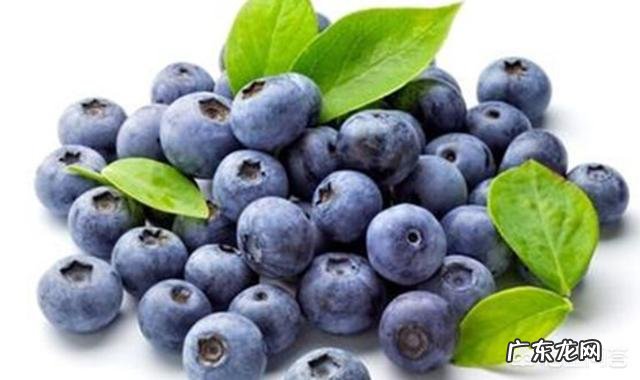 五个月宝宝能吃哪些蔬菜?有哪些宝宝食谱分享?