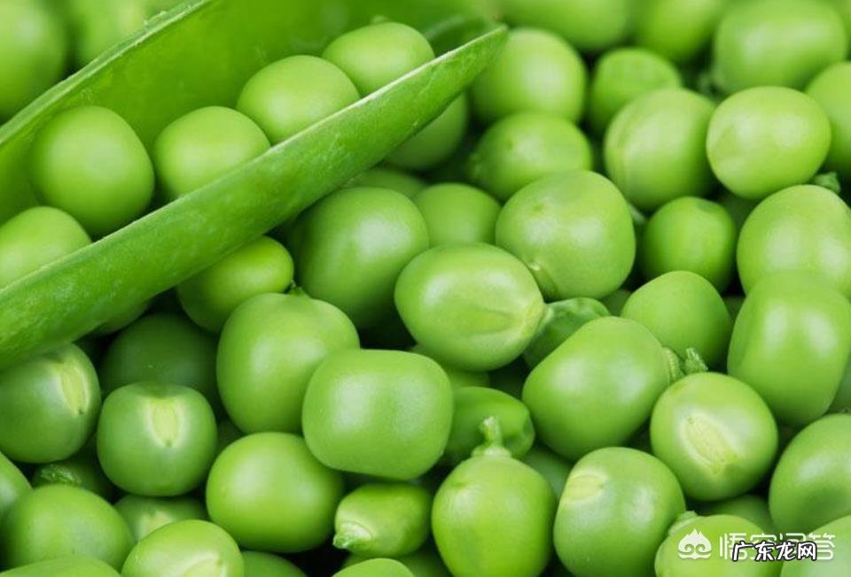 五个月宝宝能吃哪些蔬菜?有哪些宝宝食谱分享?