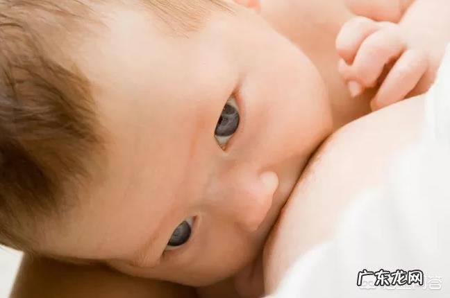 五个月宝宝能吃哪些蔬菜?有哪些宝宝食谱分享?