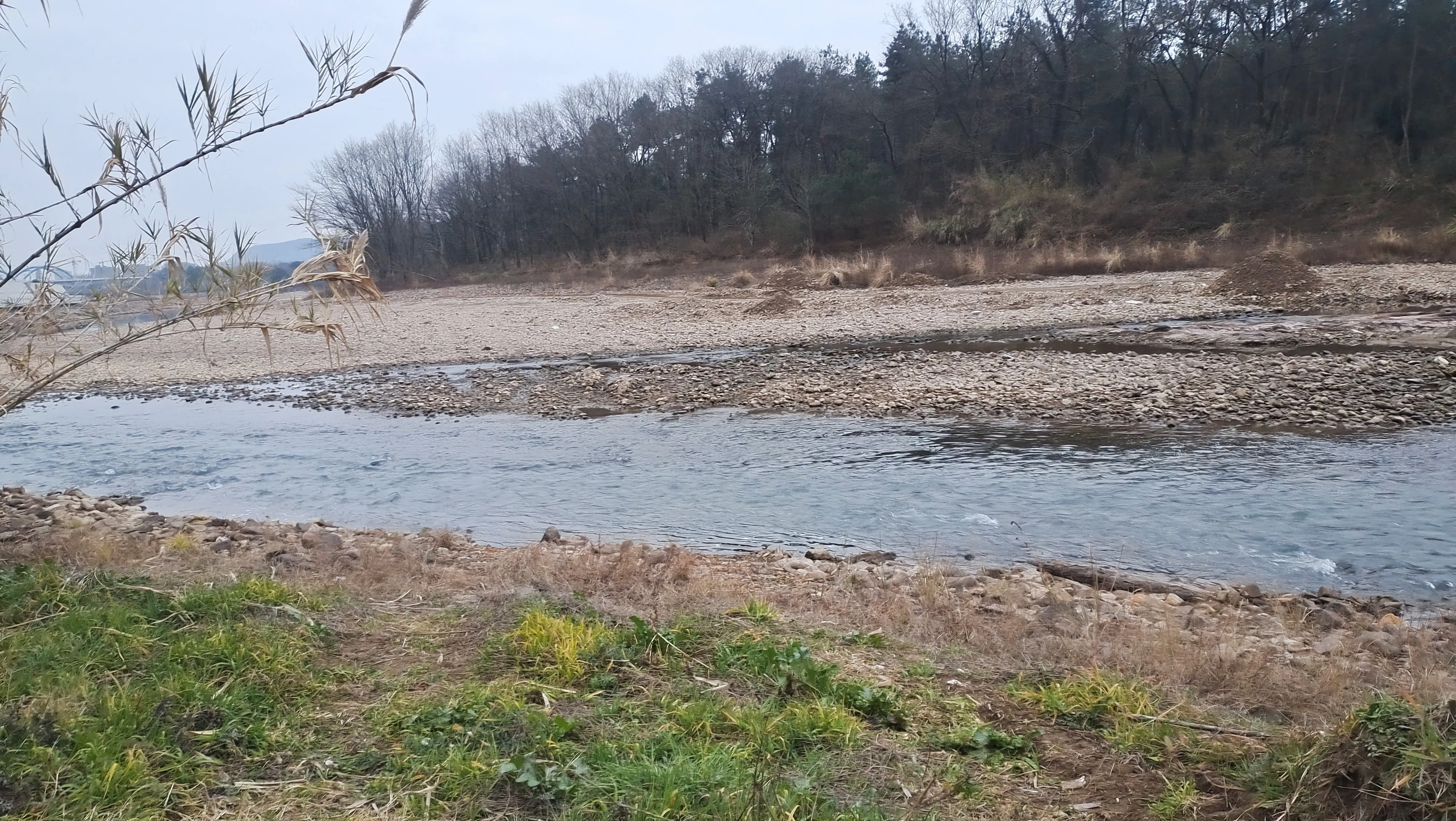 今年春节出去旅游注意什么?