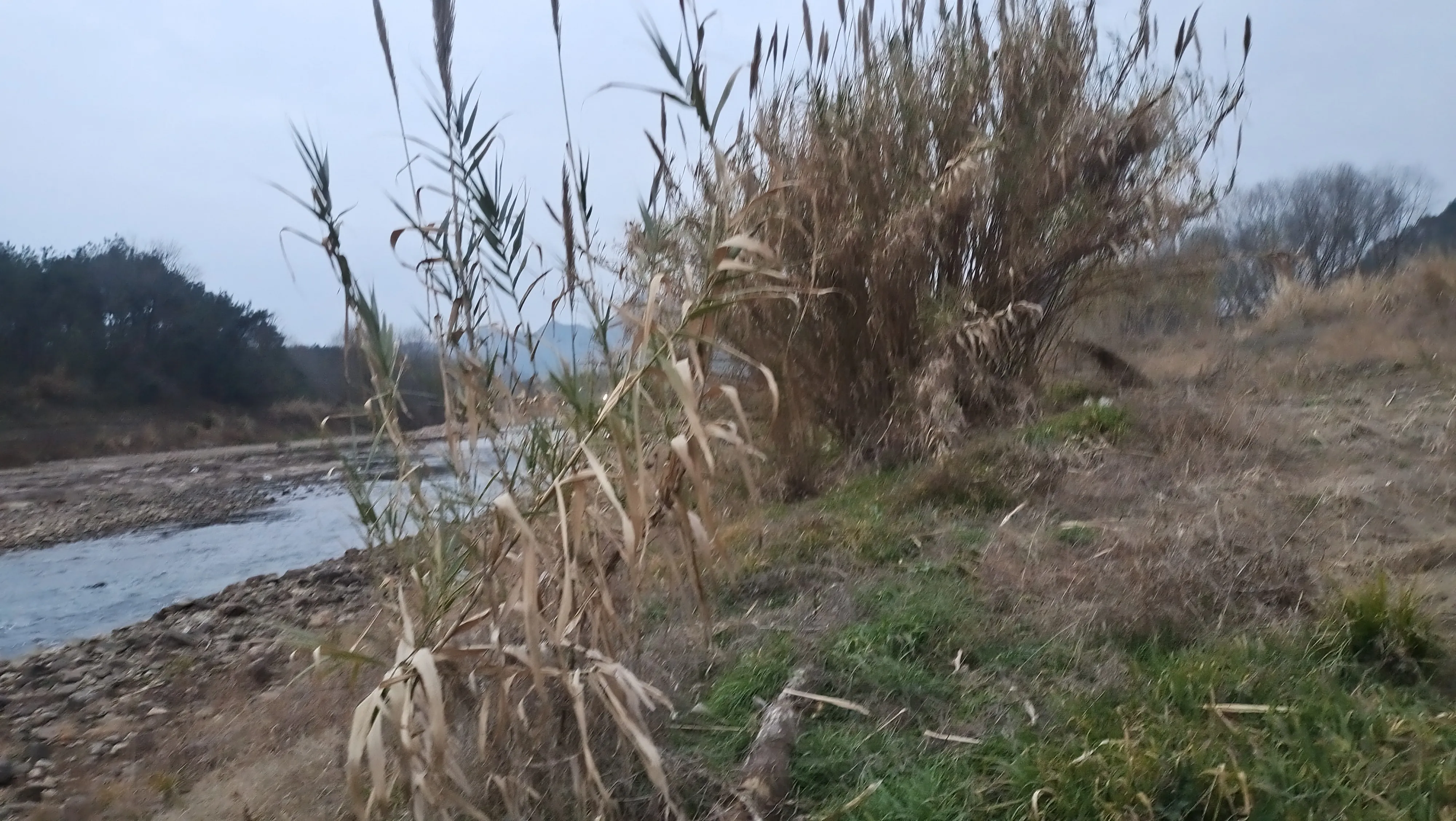 今年春节出去旅游注意什么?