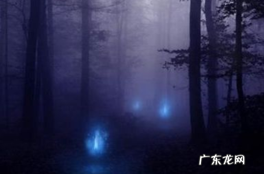 坟地放什么东西旺后人 坟地里埋什么旺后人