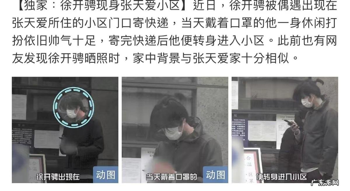 徐开骋出轨对象是谁呀,徐开骋劈腿出轨是真的吗