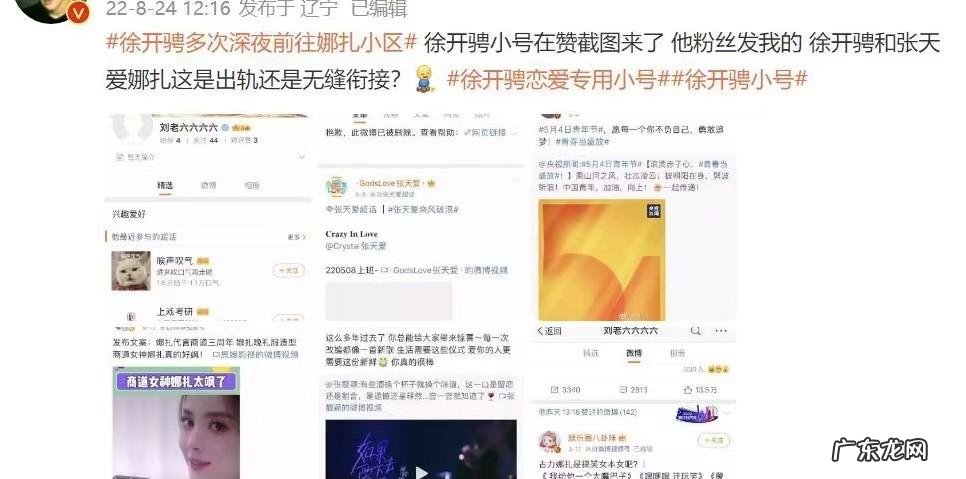 徐开骋出轨对象是谁呀,徐开骋劈腿出轨是真的吗