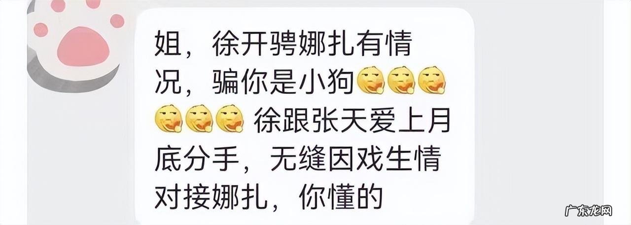 徐开骋出轨对象是谁呀,徐开骋劈腿出轨是真的吗