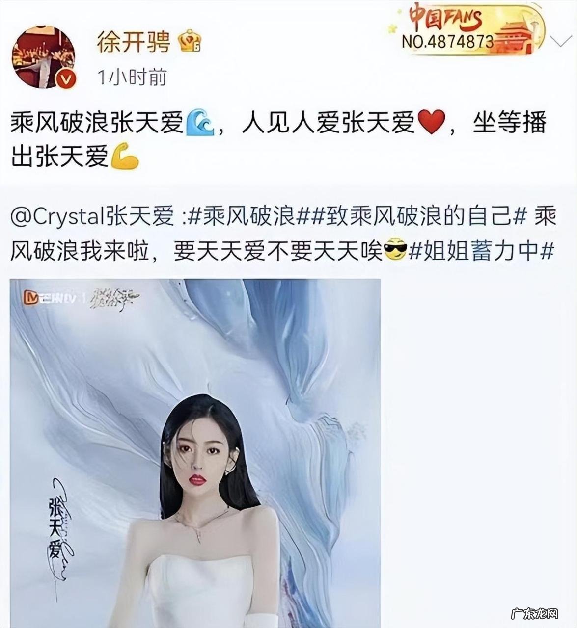 徐开骋出轨对象是谁呀,徐开骋劈腿出轨是真的吗