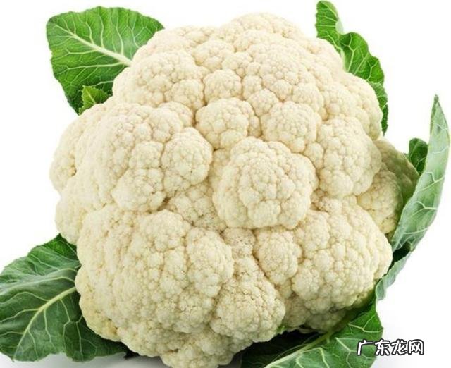 农村种植花菜,白花菜好还是绿花菜好?