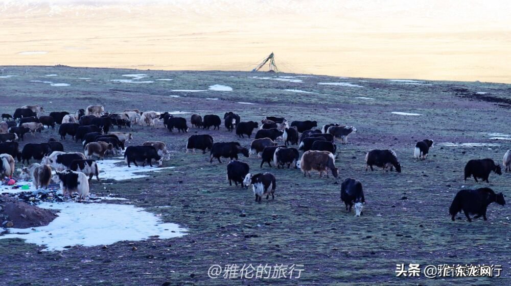 西藏唐古拉山口海拔多少 唐古拉山镇海拔