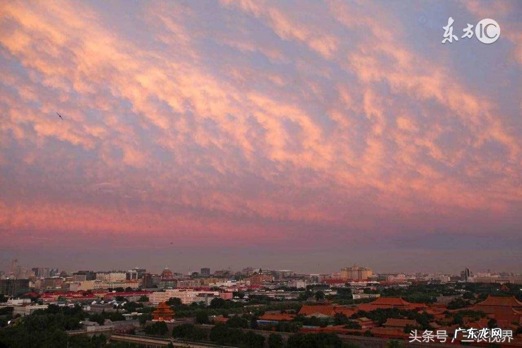 蚯蚓爬到路上预示着什么天气 蚯蚓往上爬雨水