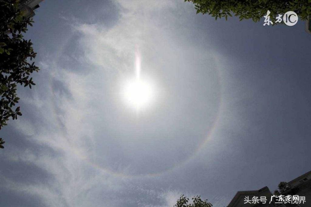 蚯蚓爬到路上预示着什么天气 蚯蚓往上爬雨水