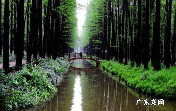 藏在南京周边的5个景点是什么 南京周围适合自驾的地方