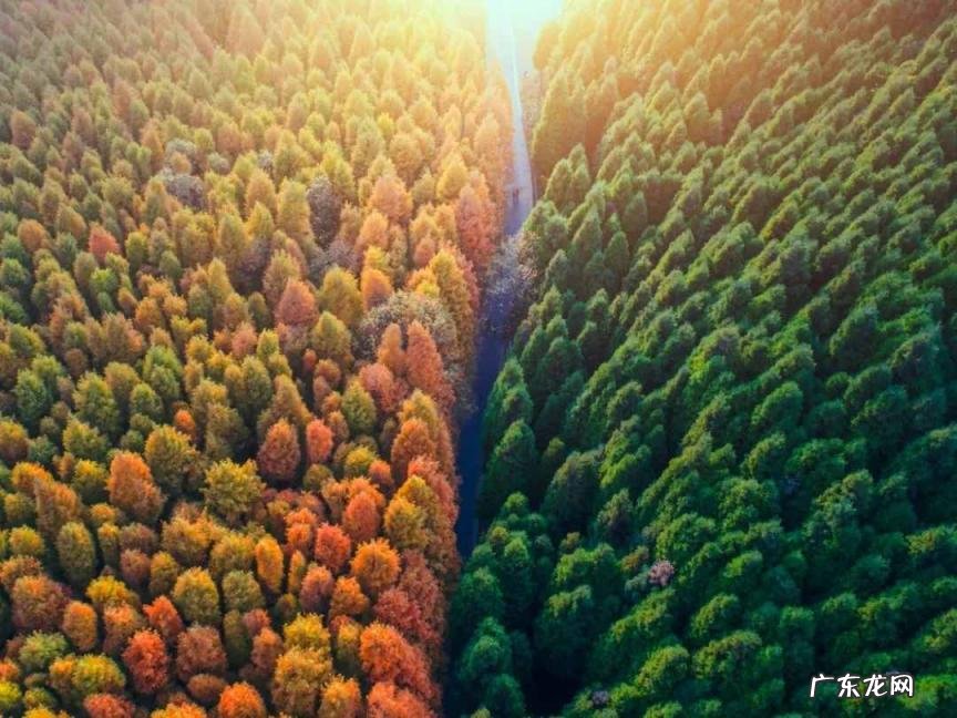 国庆小众旅游地 国庆出游推荐地成都