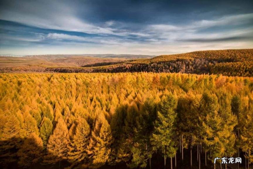 国庆小众旅游地 国庆出游推荐地成都