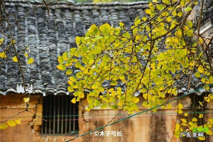 国庆小众旅游地 国庆出游推荐地成都