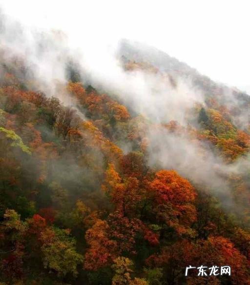 国庆小众旅游地 国庆出游推荐地成都