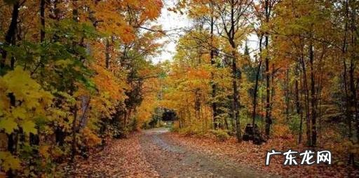 国庆小众旅游地 国庆出游推荐地成都