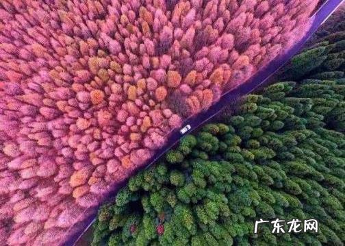 国庆小众旅游地 国庆出游推荐地成都