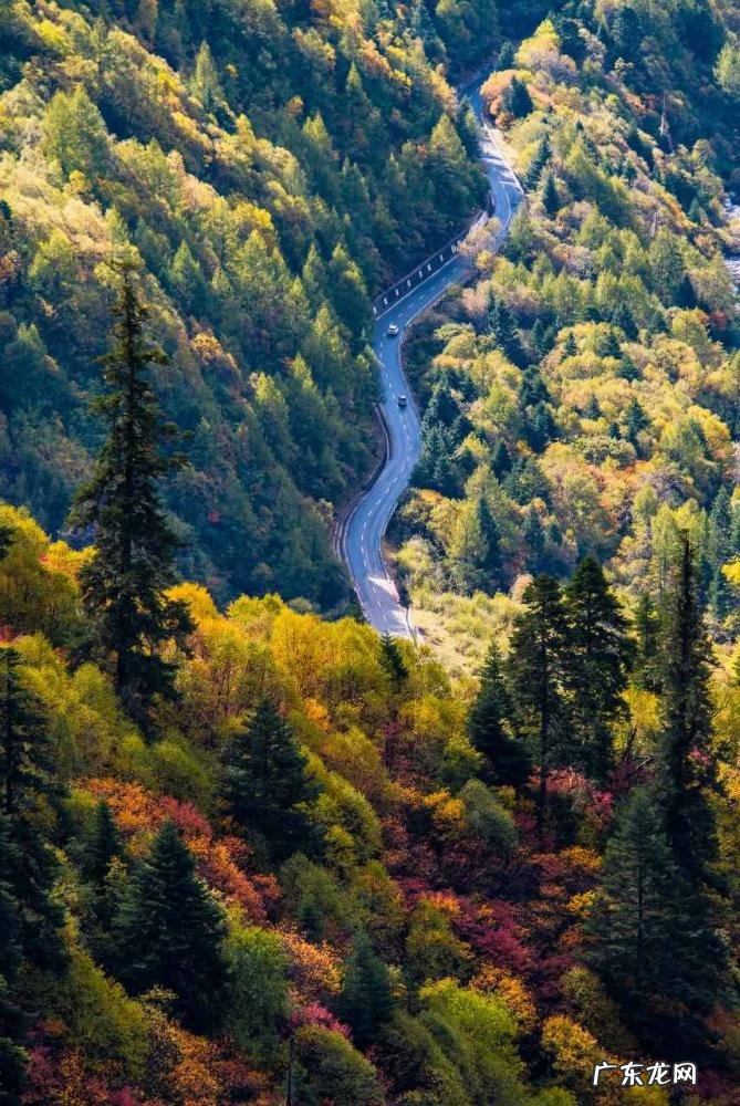 国庆小众旅游地 国庆出游推荐地成都