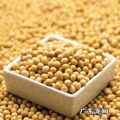 高粱米粥的家常做法,高粱米粥糖尿病能吃吗