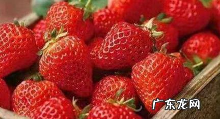 为什么丹东草莓出名 为什么丹东草莓出名那么多