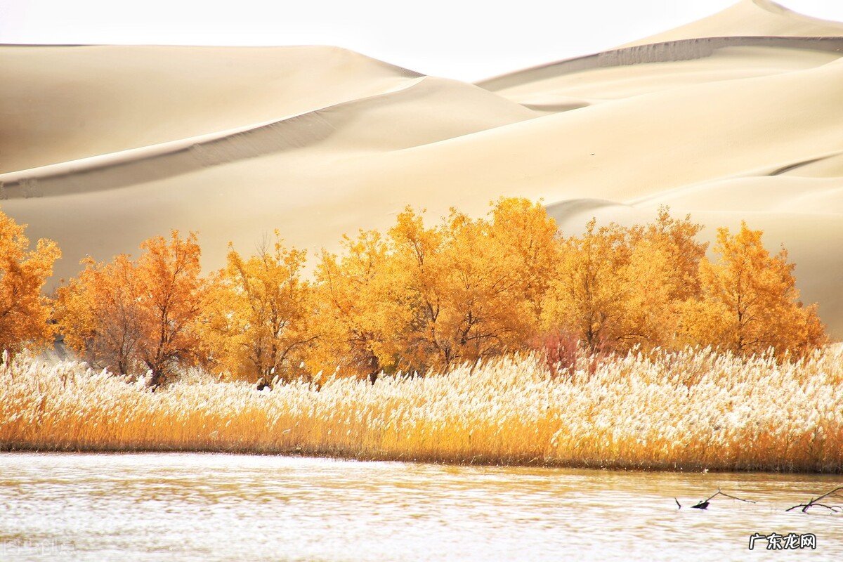 你知道哪些流行最广的俗语?