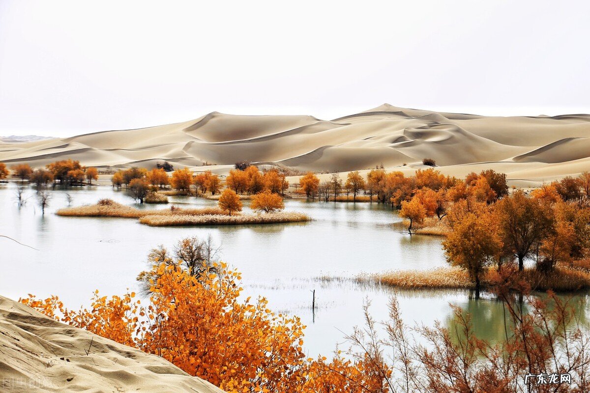 你知道哪些流行最广的俗语?