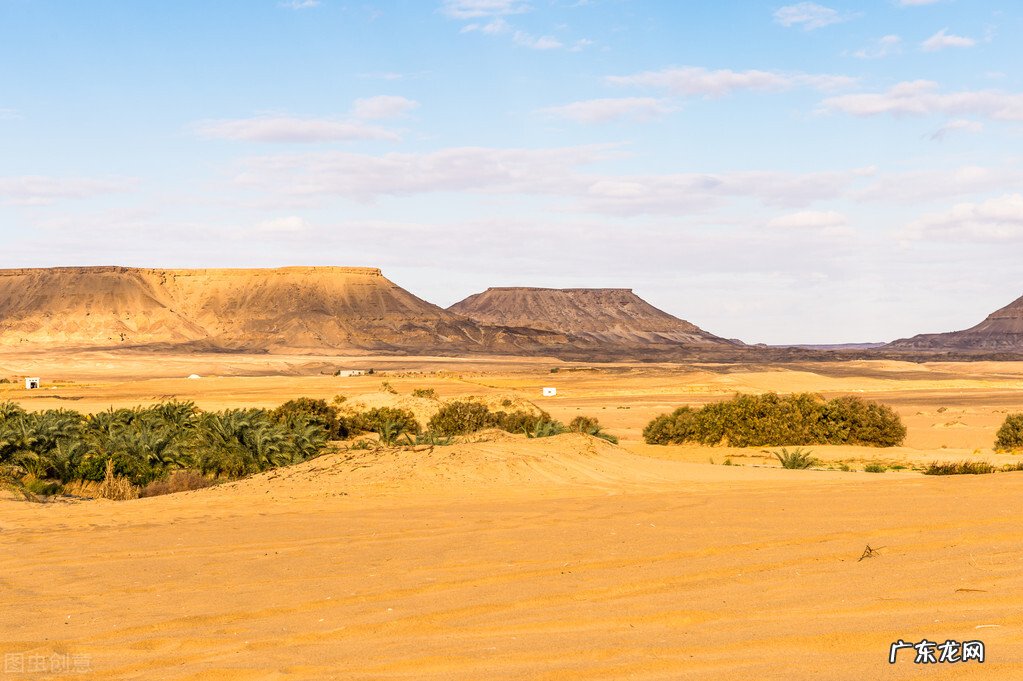 你知道哪些流行最广的俗语?