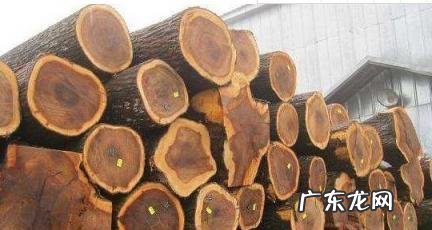 五种辟邪木头是什么 五种辟邪木头是什么意思