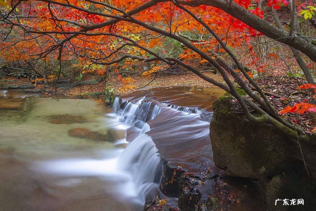 今期四柱预测彩图 今天56期四柱预测 四柱预测法里面日子时辰怎么推算的