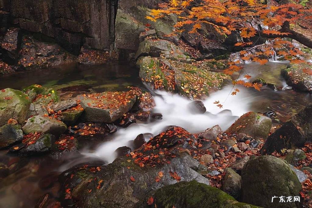今期四柱预测彩图 今天56期四柱预测 四柱预测法里面日子时辰怎么推算的
