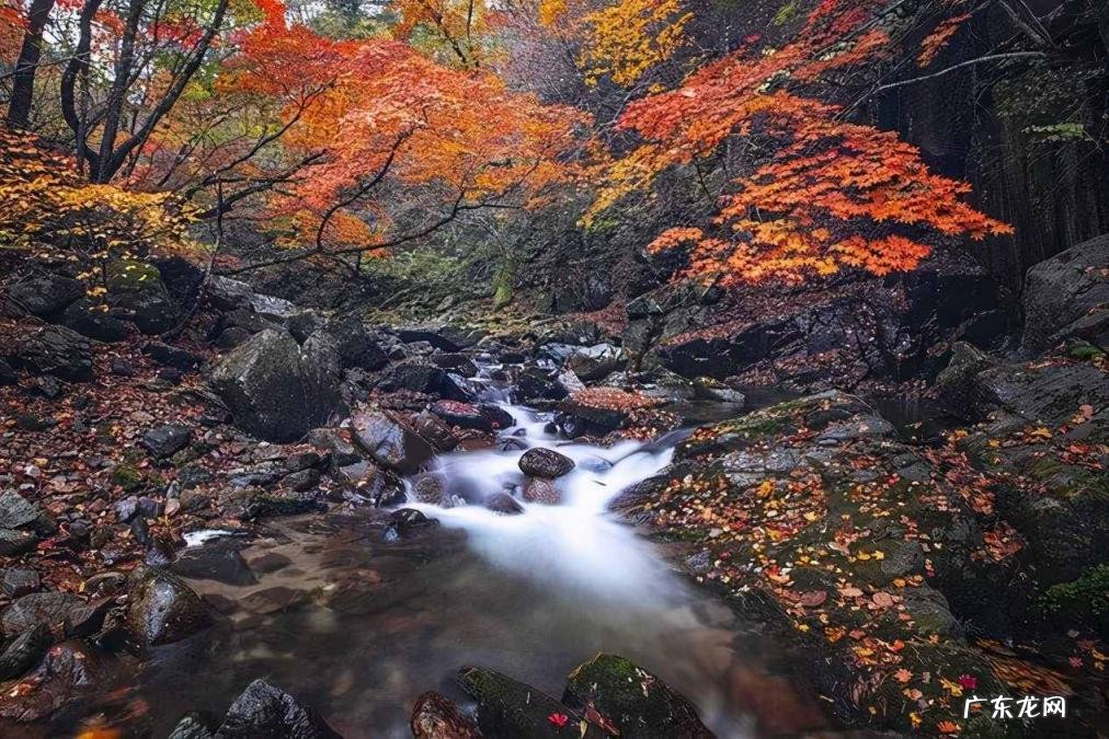 今期四柱预测彩图 今天56期四柱预测 四柱预测法里面日子时辰怎么推算的