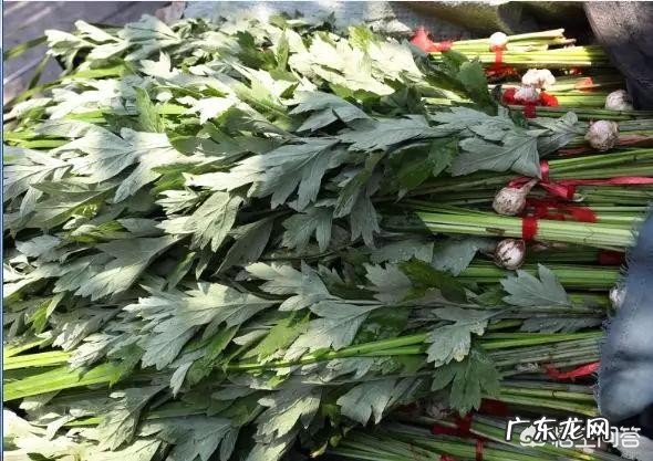 农村老人常说：端午节，禁忌多，不能做什么？