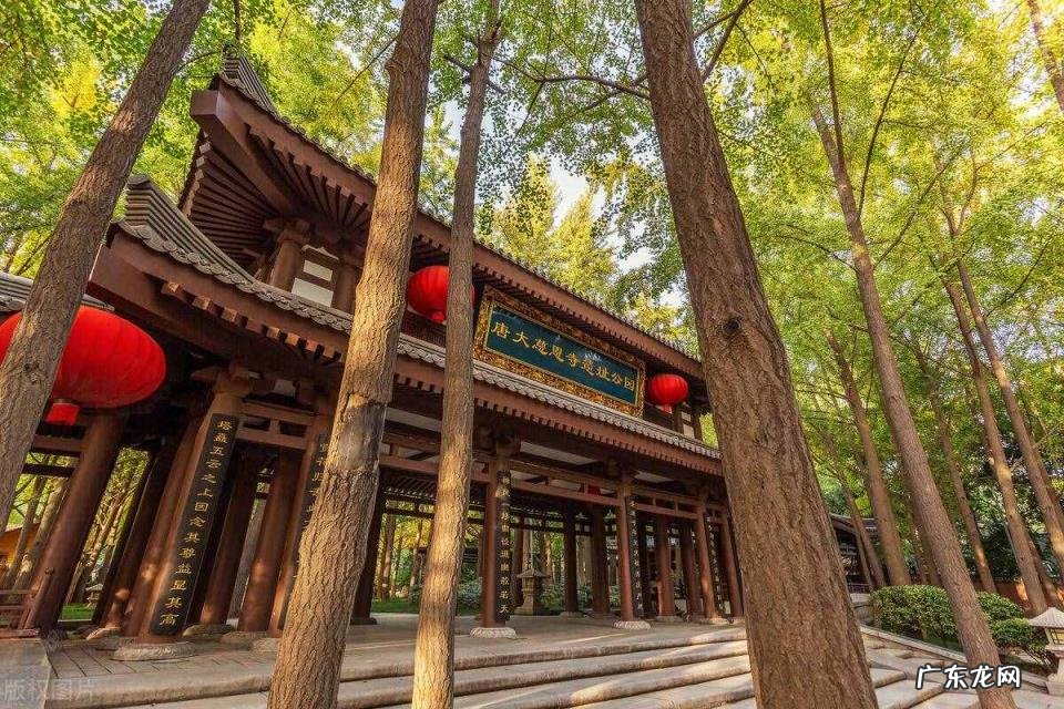 西安市免费景点景区大全排名 西安景点门票在哪里预约