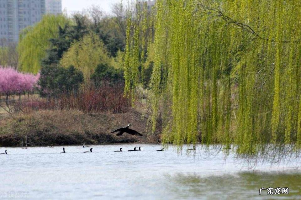 西安市免费景点景区大全排名 西安景点门票在哪里预约