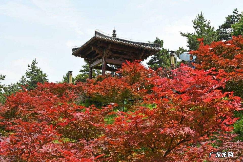 西安市免费景点景区大全排名 西安景点门票在哪里预约