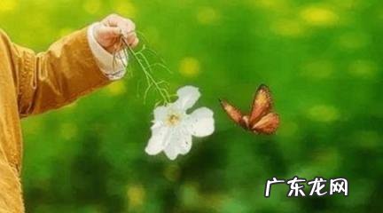 yue是什么意思 瀹是什么意思