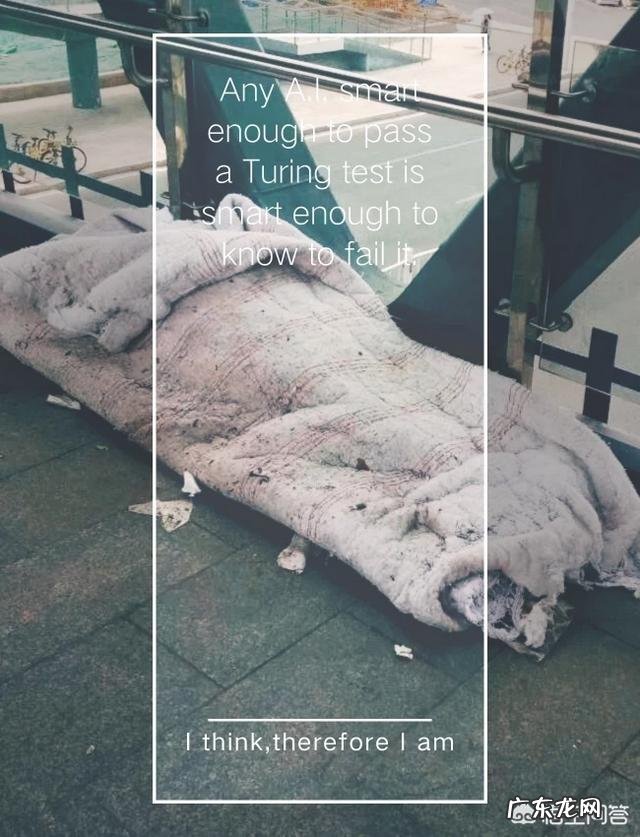 如何看待90后少女戏耍乞丐,最后将其打死?