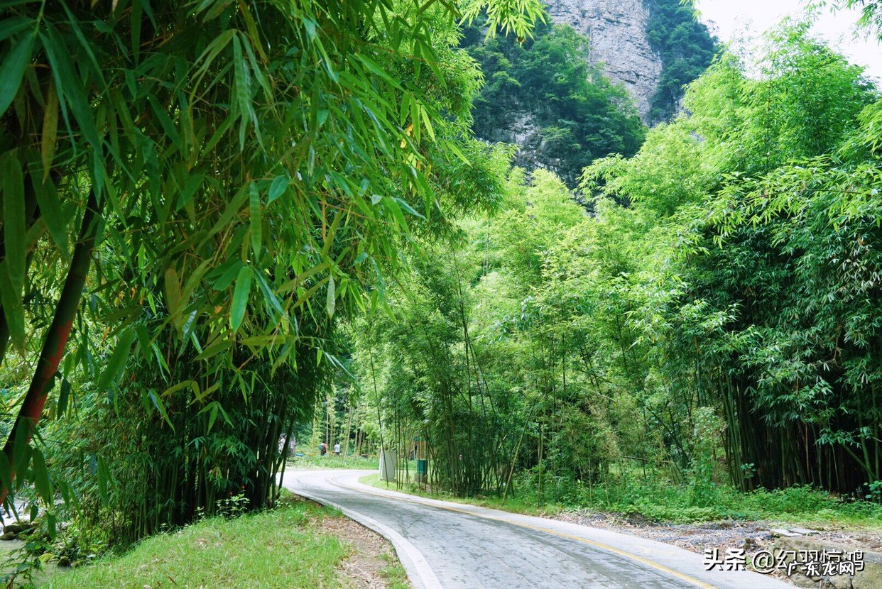 一个人旅游，在旅途中会感觉孤独寂寞吗？